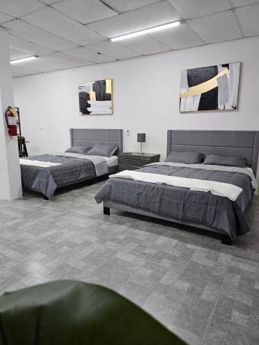 Ceiba Apartment | Salmos 23 acogedor apartamento estudio