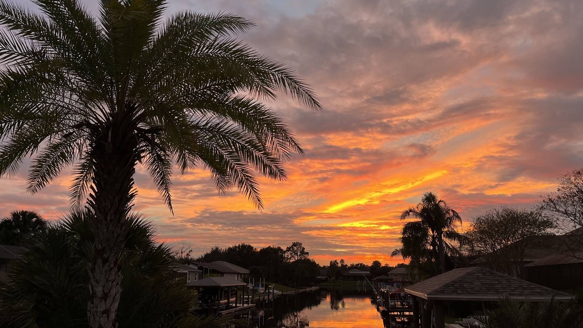 Palm Harbor House | Salt Water Canal home w/Dock, Family/Pet Friendly, close to Beach and A1A