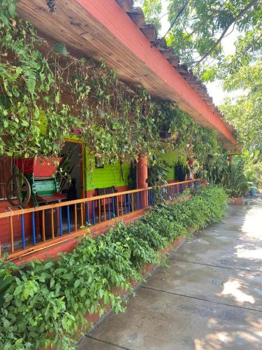 Pereira Cabin | Samán Servicios Eje Cafetero SAS