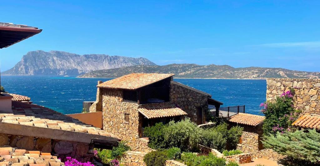 Capo Coda Cavallo Apartment | SAN TEODORO PUNTA EST AMPIO TRILOCALE VISTA MARe