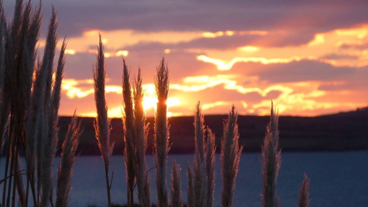 Ventry Apartment | Sanctuary Studio accommodation; quiet, rural, seaside, 3 miles west of Dingle