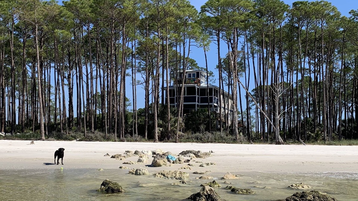 Alligator Point House | Sand Point South on Alligator Point