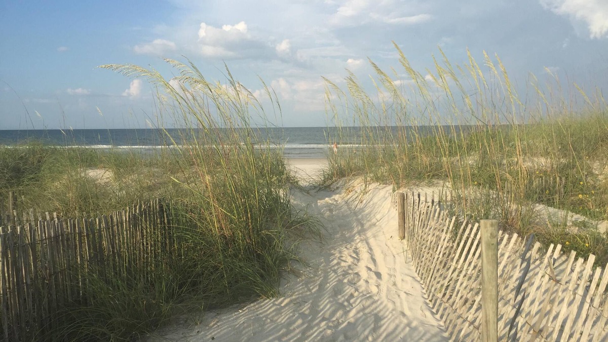Crescent Beach Condo | Sandpiper 220 - Remodeled Beachfront Condo with Beach Gear