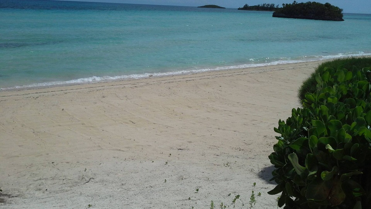 South Palmetto Point Apartment | Sandy beach for total relaxation