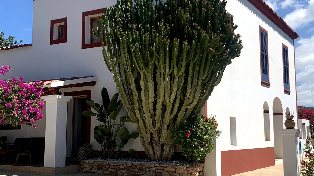 Sant Antoni de Portmany House | Sant Antoni De Portmany: country holiday home - Ibiza