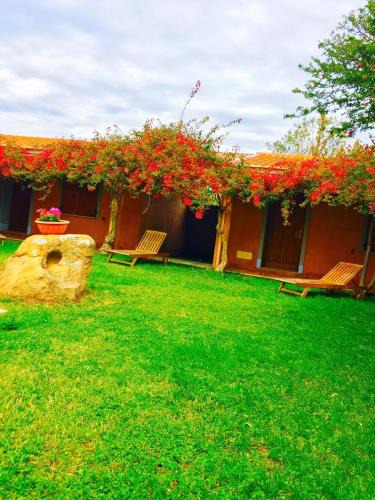 Talana Hotel | Sant Efisio