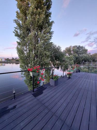 Snagov House | Sara's Vila