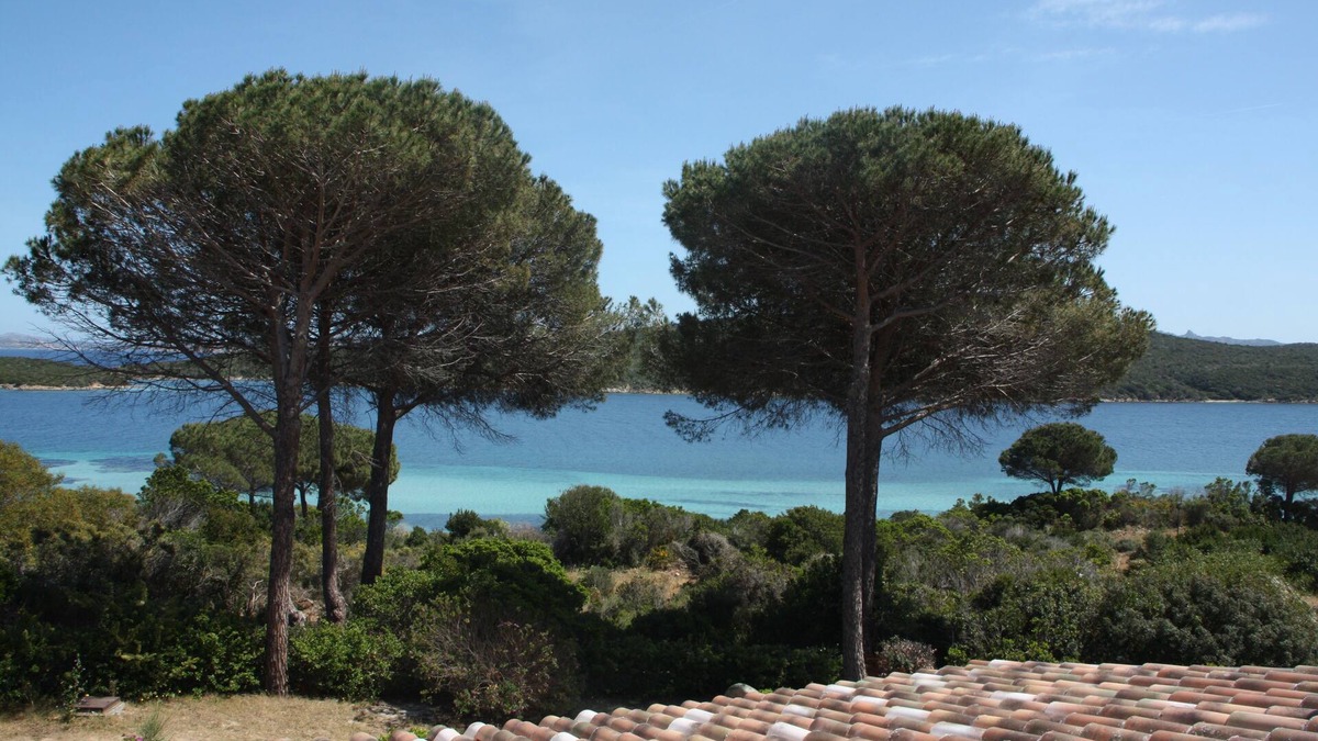 Conca Verde House | Sardinia - Maddalena- Gallura- Costa Smeraldan2 minutes from the beach, sea view