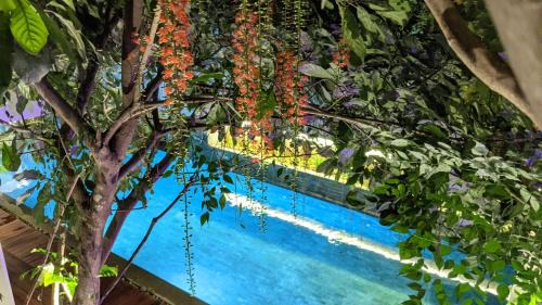 Sen Sok Hotel | Sarina Hotel & Villa