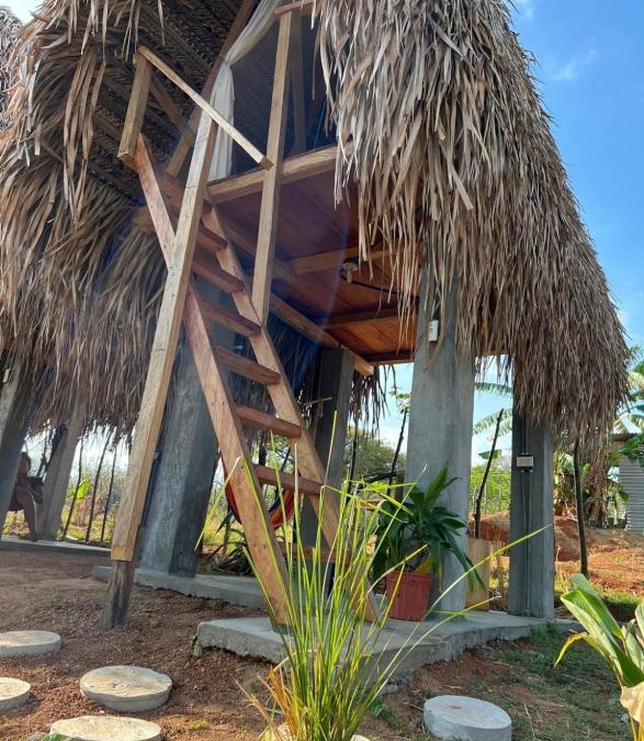 Santa Catalina House | Sasy tipis