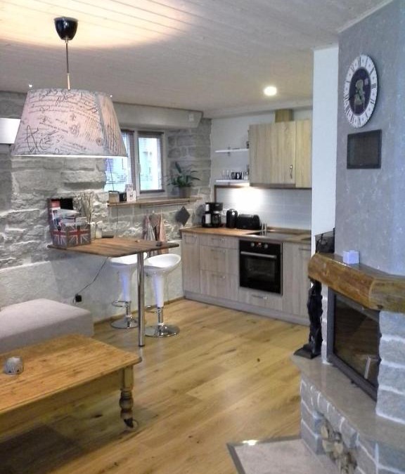 Pelgulinn Apartment | Saue 1 Apartment