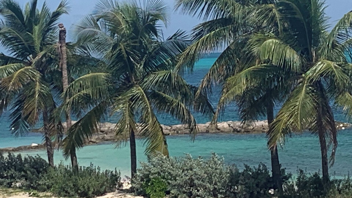 Nassau Villa | Saunders Beach Villa . All the amenities, includingpool, outdoor cabana, grills.