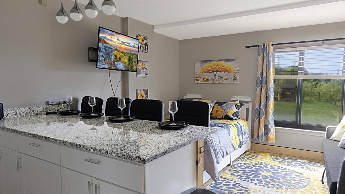 Snowshoe Condo | SC 2204 Completely Renovated Studio, Bright Winter Escape!