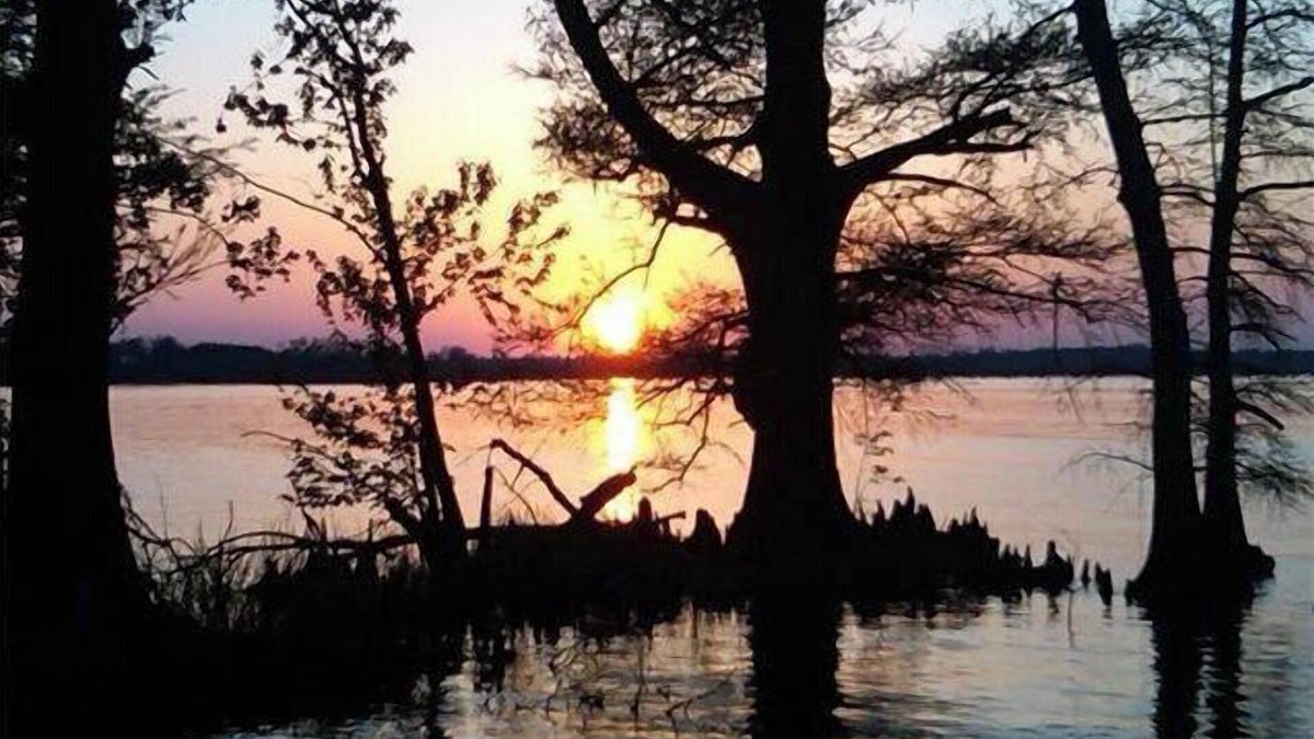 Wynnburg Condo | Scales And Ducktails Rentals. Your Hunter And Fisherman Home Away From Home.