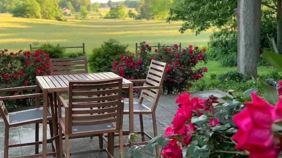 Waynesboro House | Scenic Blue Ridge Sanctuary with smoking and vaping strictly restricted inside