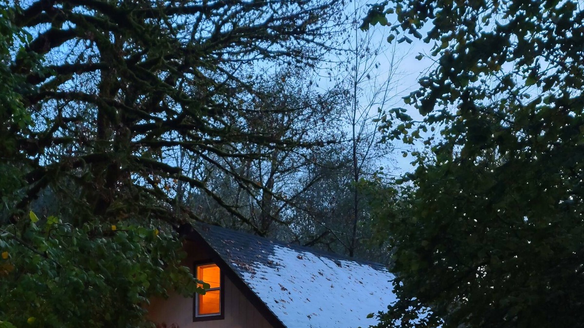 Alsea Cabin | Scenic cabin with a creek view