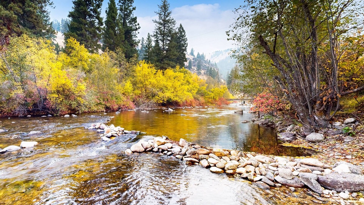 Sula Cabin | Scenic retreat w/two cabins, abundant wildlife, forest views, & fishing