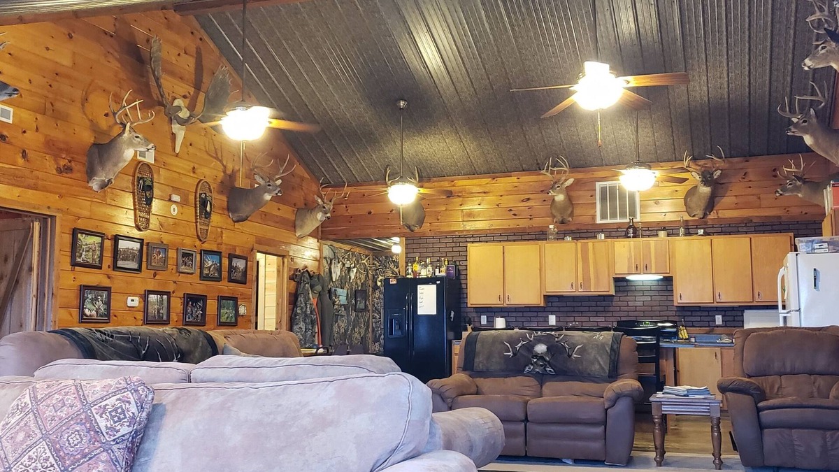 Pearl Cabin | Scenic river bluff view with privacy!