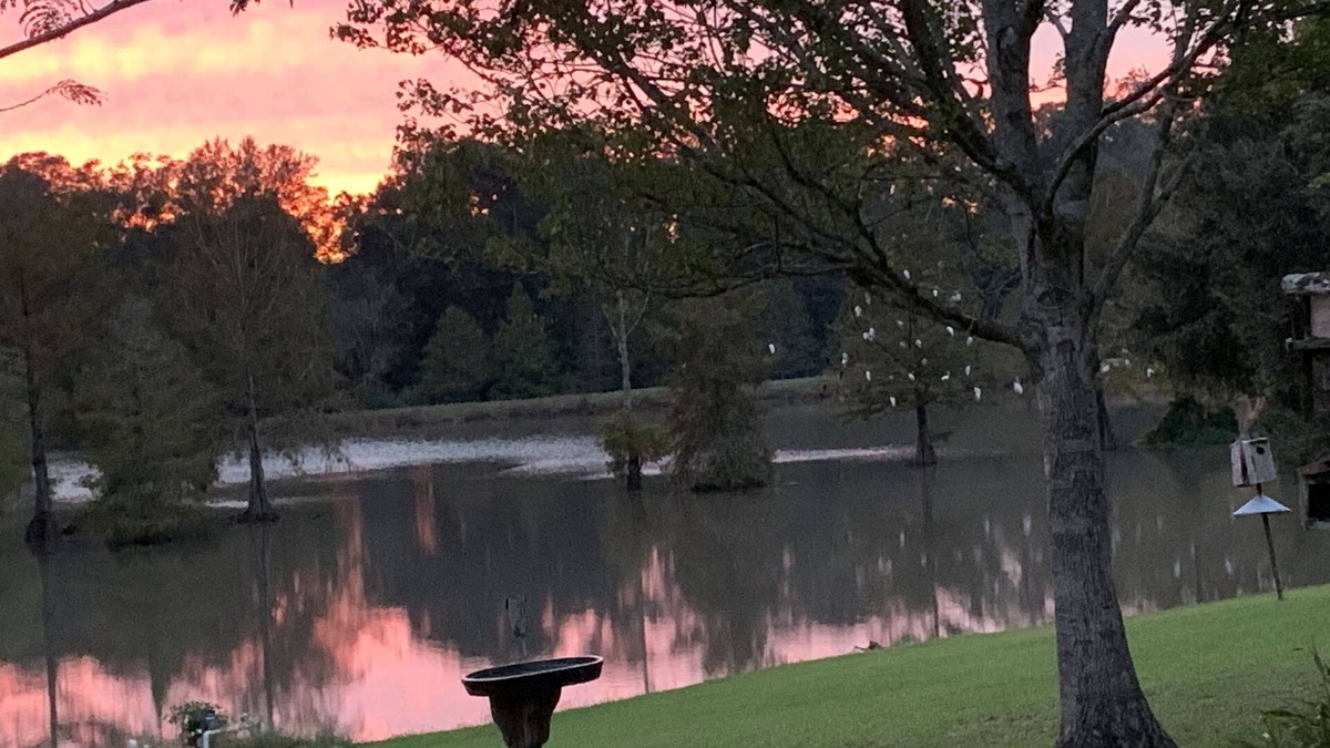 Carencro House | Scenic, upscale country living minutes from I-10 & I-49, & downtown Lafayette.,