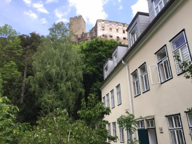 Baden Apartment | Schöne Wohnung im Helenental