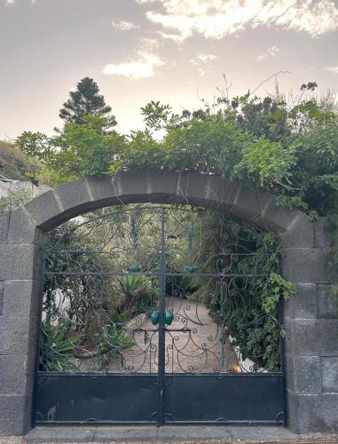 San Vincenzo House | Schicciolina
