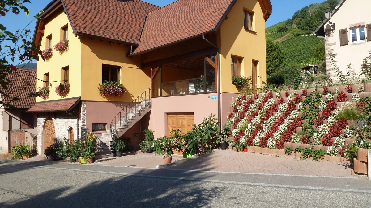 Bernardville Apartment | Schieferberg in the heart of the vineyards