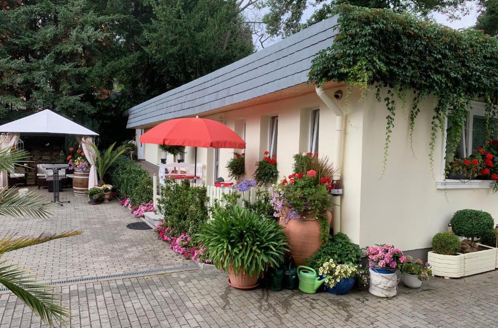 Blankenburg Apartment | Schlossblick