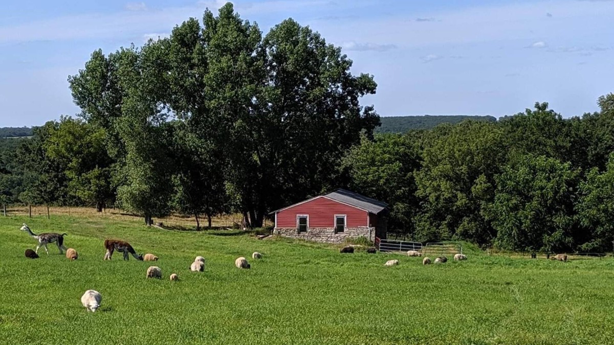 Preston Other | Schmidt Farm: an interactive farm experience bordering Forestville State Park