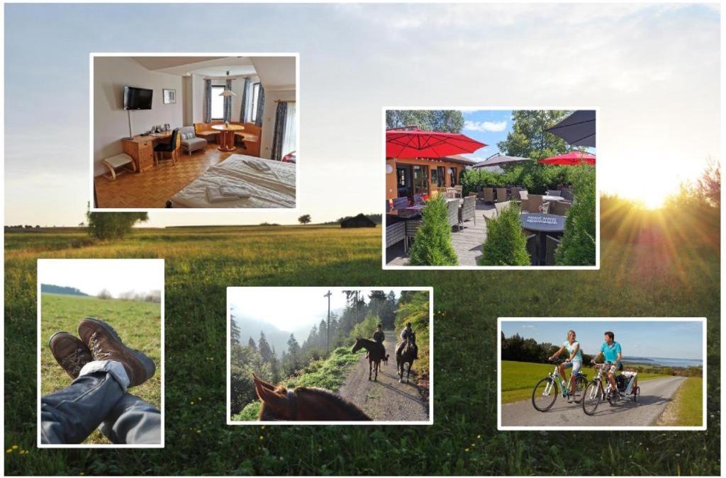 Neubulach Hotel | Schwarzwald Sportzentrum Neubulach