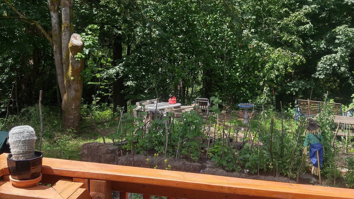 Happy Valley Apartment | Scott Creek Farm: 2 Acre Sustainable Farm With Forest, Creek, And Nature Park.