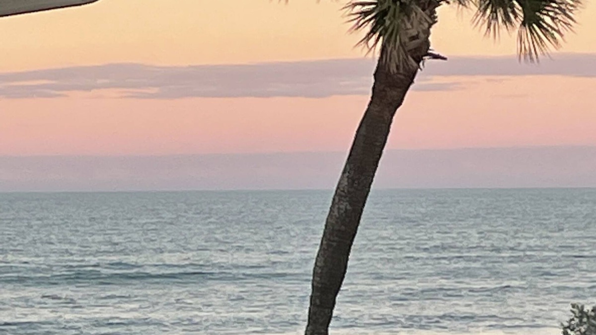Crescent Beach Condo | Sea-and-Heaven 1 bdrm Condo W/Ocean Views