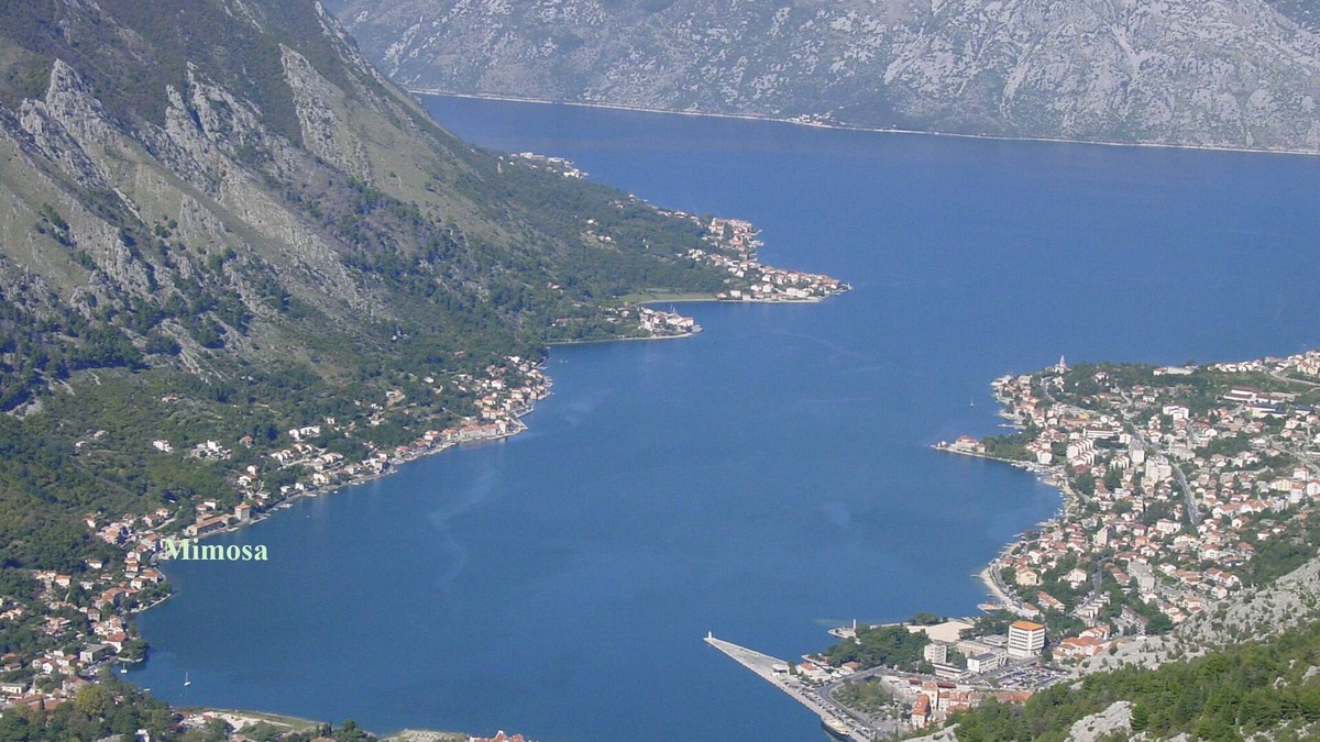 Kotor Apartment | Sea-front apartment with large terrace overlooking Kotor Bay