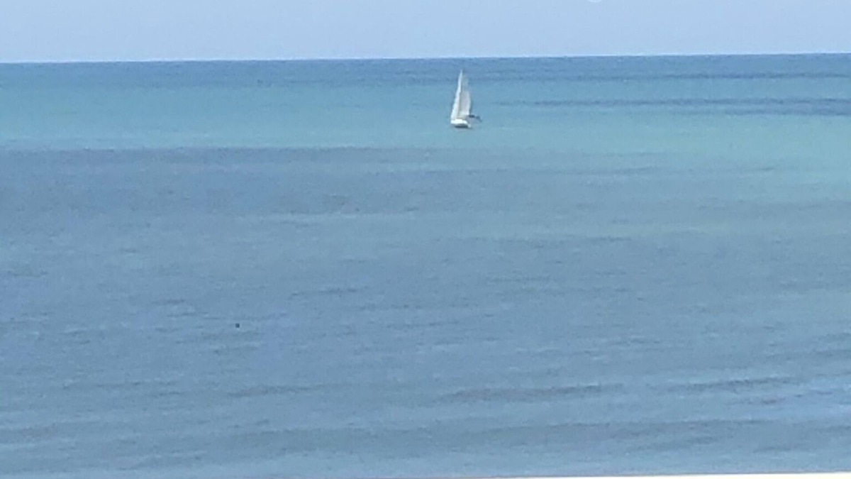 Redington Shores Condo | Sea La Vie at San Remo