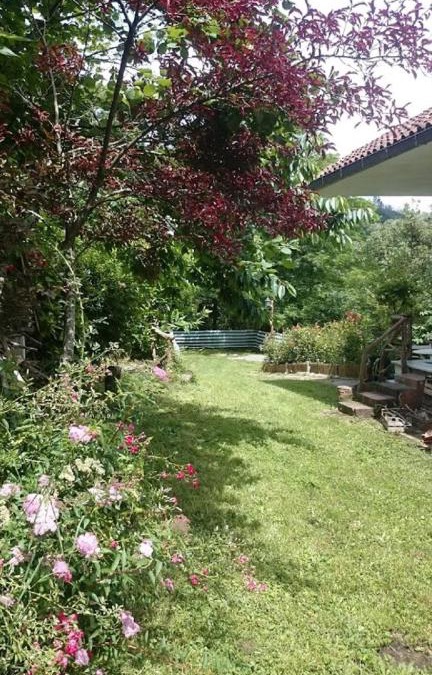 Carrodano Inferiore House | Sea Levanto and Cinque Terre Calm, cool, freedom,for children and pet Parking