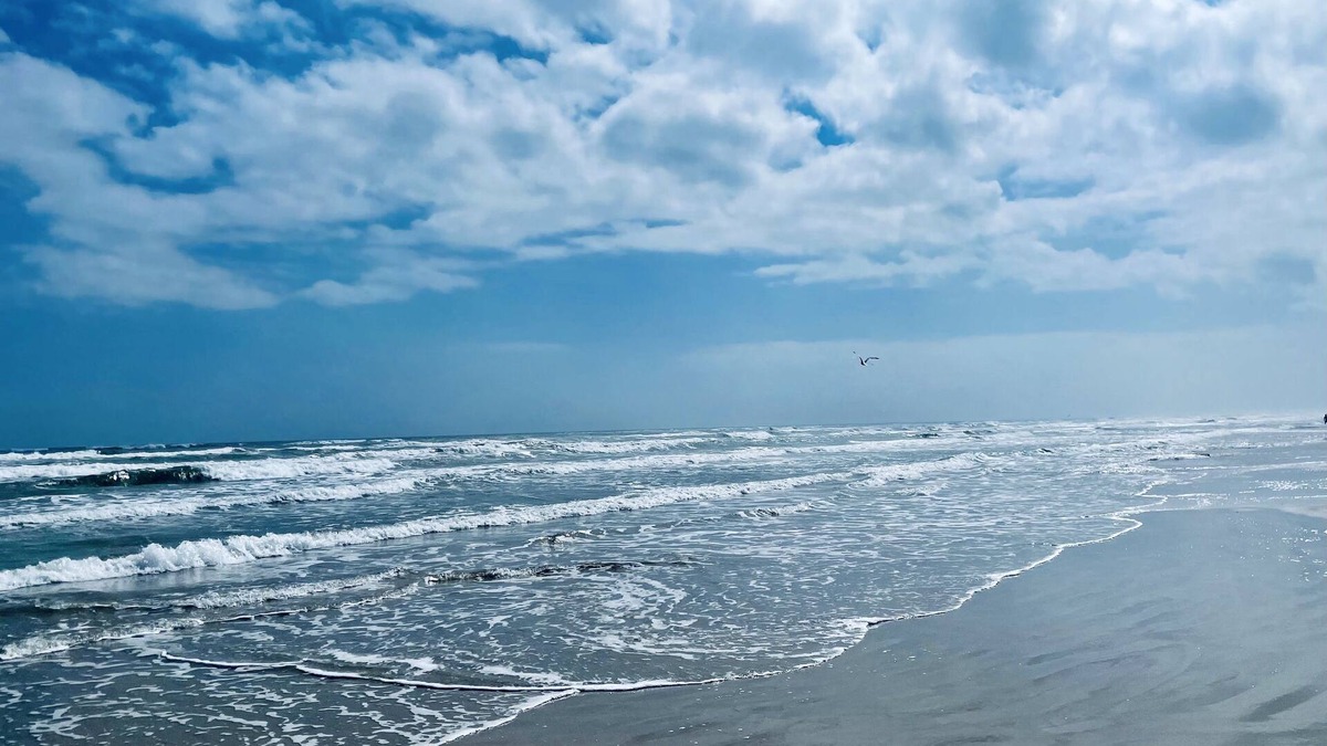 Port Aransas Condo | Sea Sounds | ★Beachfront★ | 2 Pools | First Floor Island Retreat 2 Bedroom Condo