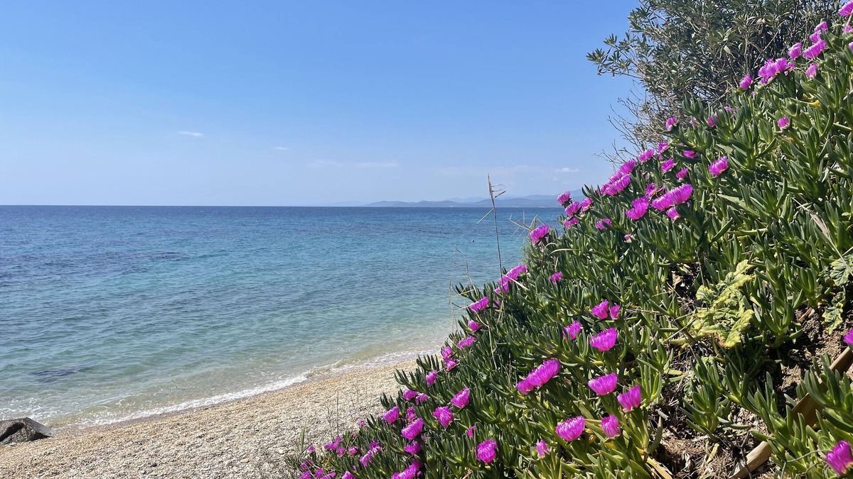 Elia Apartment | Sea View Apartment Anastasia