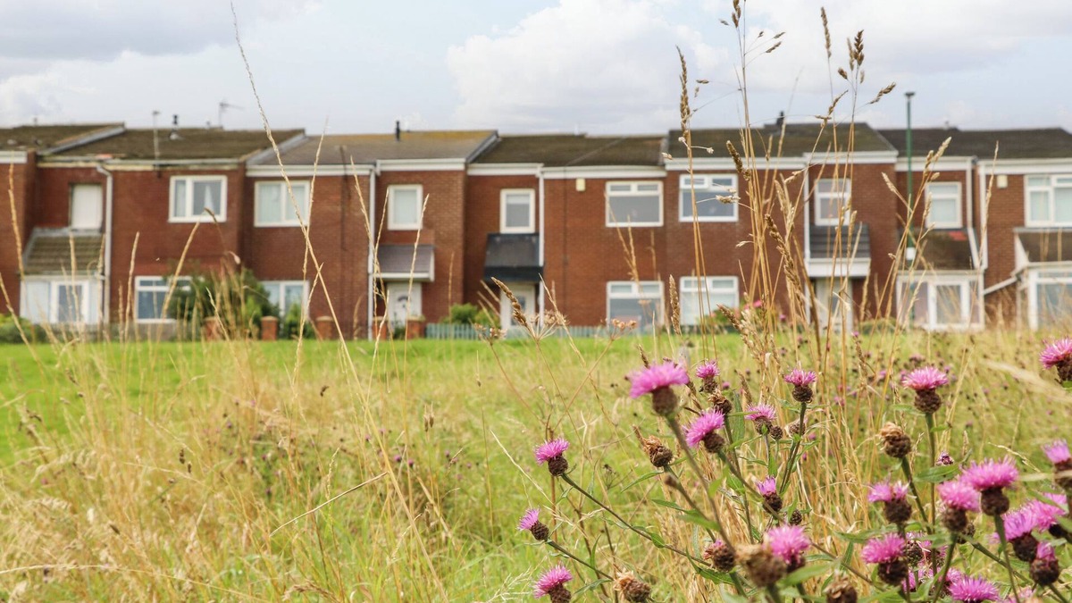 South Shields Cottage | SEA VIEW COTTAGE, pet friendly, with a garden in South Shields