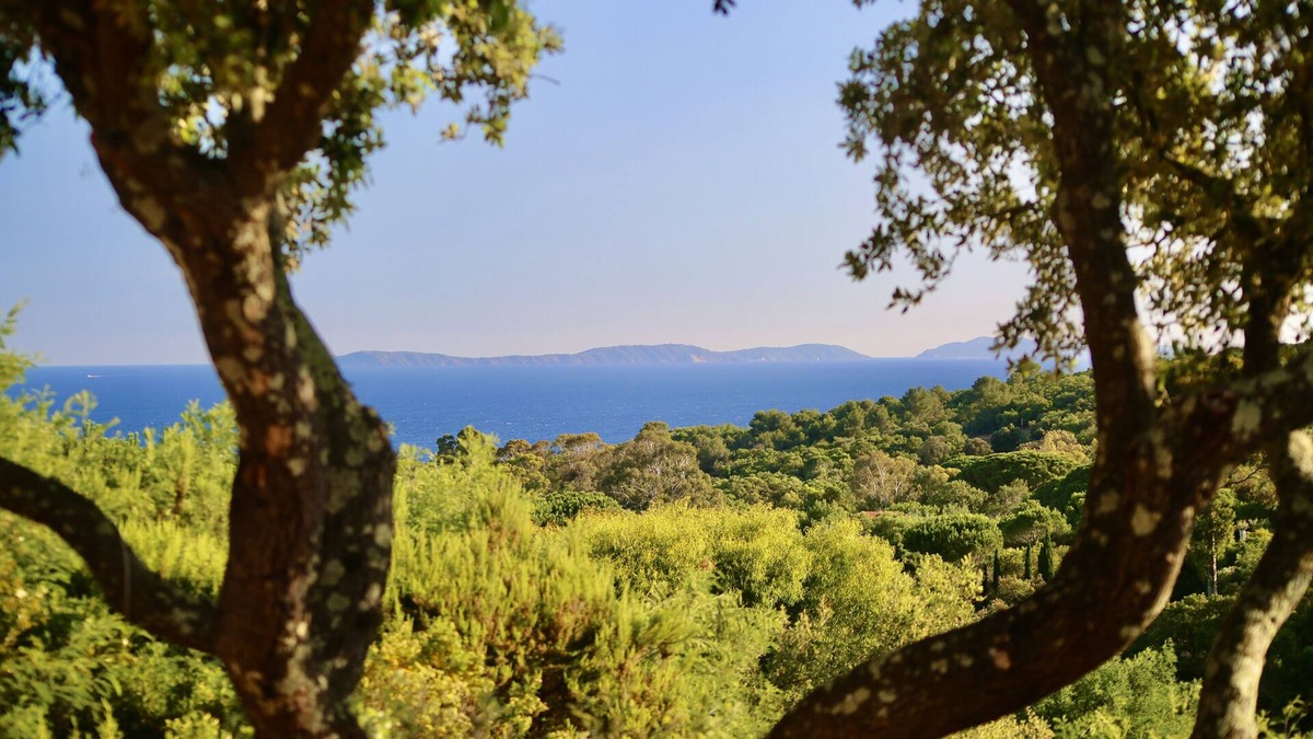 La Croix-Valmer Villa | Sea view family house La Croix-Valmer Saint-Tropez peninsula. Beach 900 meters