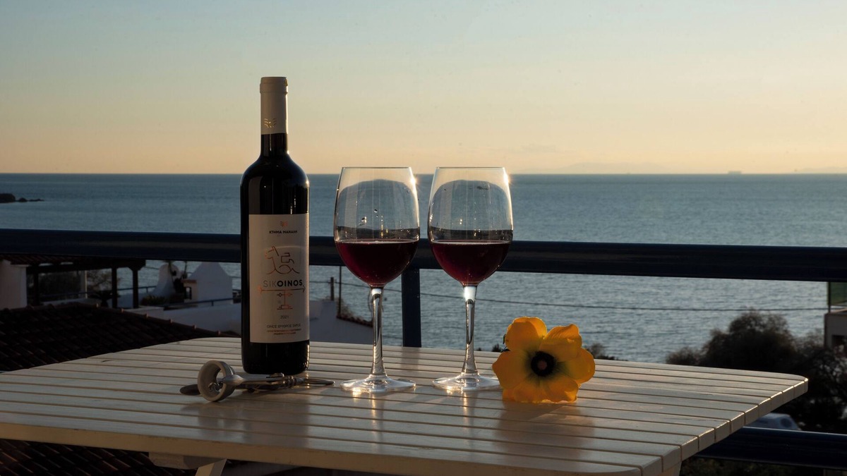 Saronida Apartment | Sea View spacious apartment next to the Beach in Saronida, Athens Riviera