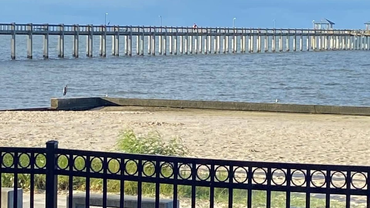 Pascagoula House | Seabreeze Escape: Your Coastal Retreat