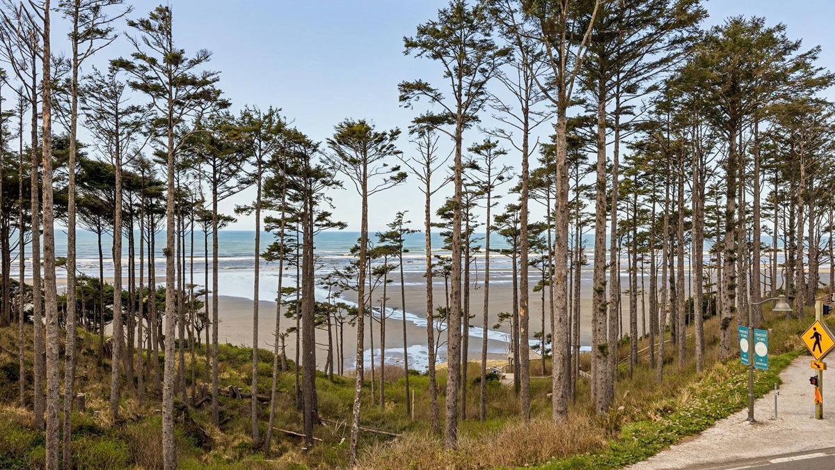 Seabrook House | Seabrook's King Tide: Ocean Views, Private Hot Tub, Dogs Welcome!
