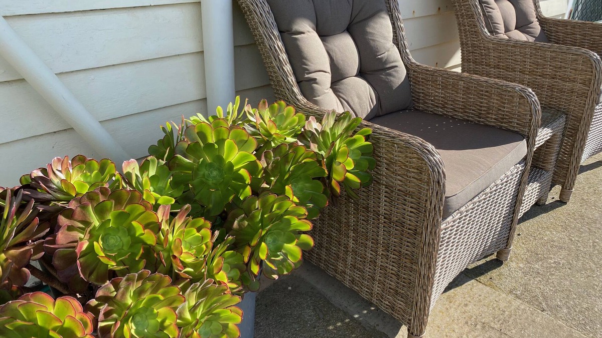 Sugarloaf House | Seacroft Bay View Appartment