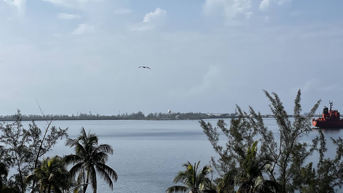 Kingston Apartment | SEAFLECTIONS - Relax, Reflect & Reminisce on the MUSIC, ART and CULTURE.