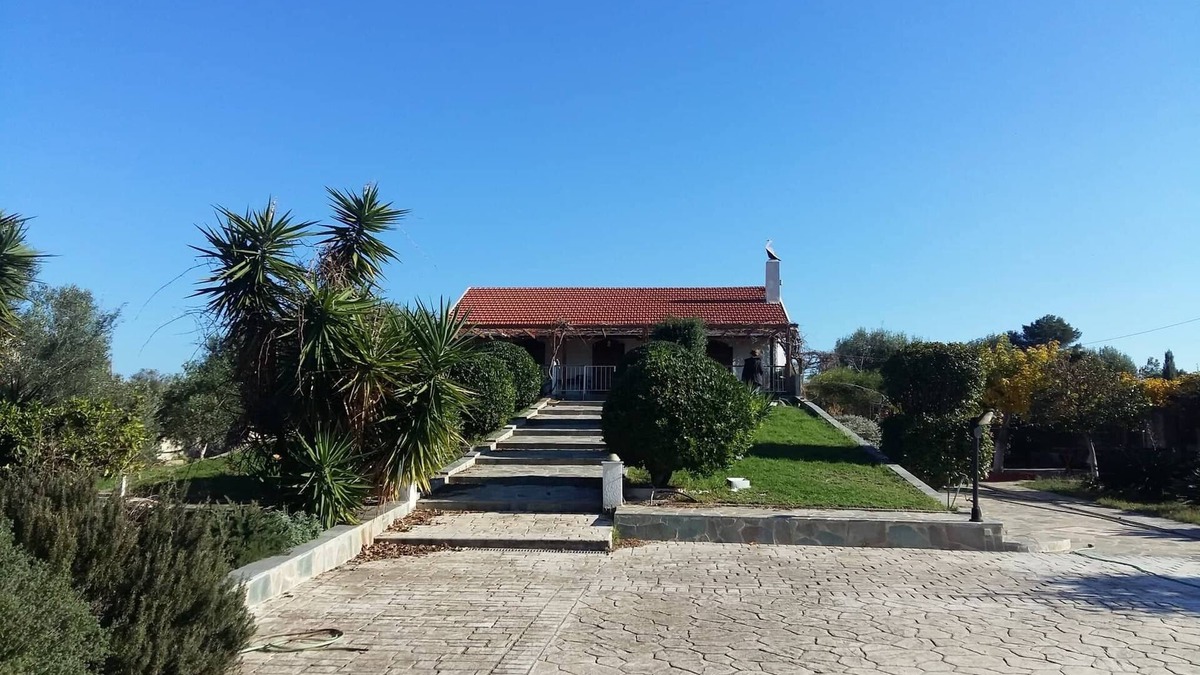Chalcis Cottage | Seafront cottage with orchard and garden