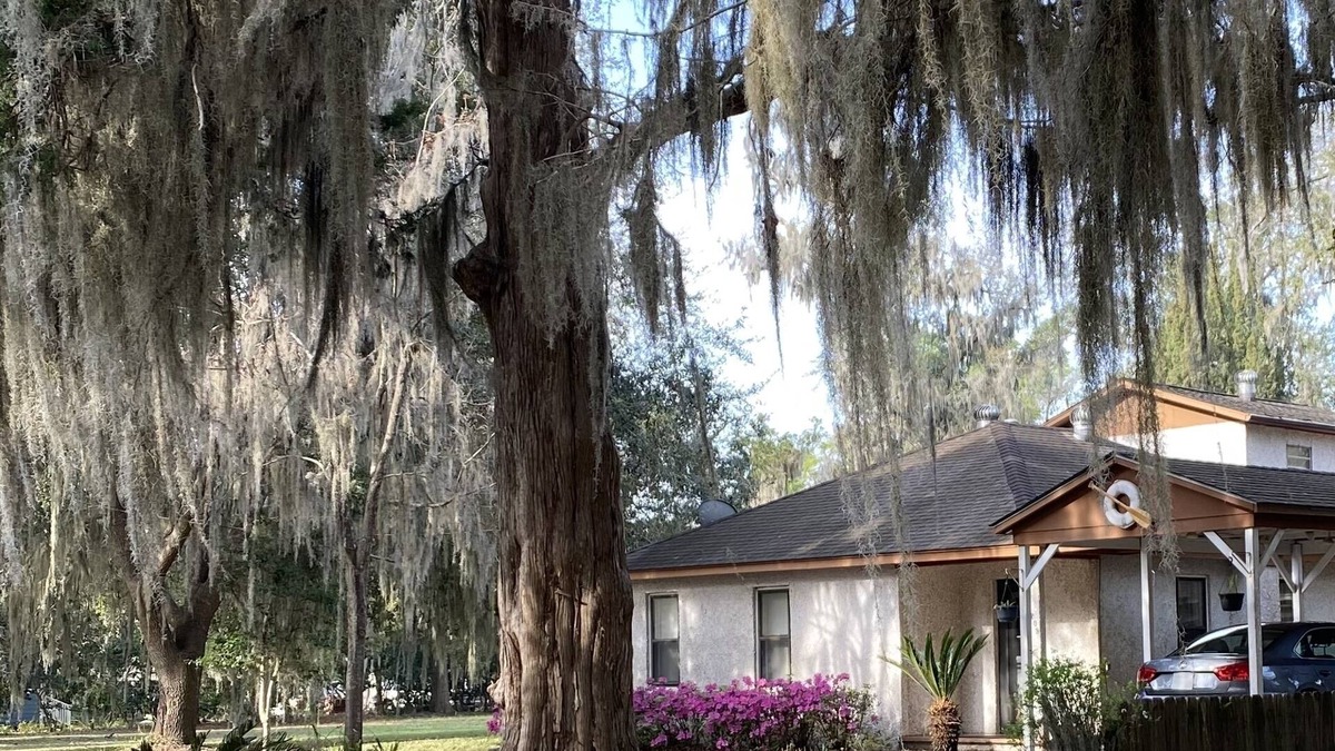St. Marys House | Seagrove House in Historic District St. Marys, 2 blocks to river - Dog Friendly