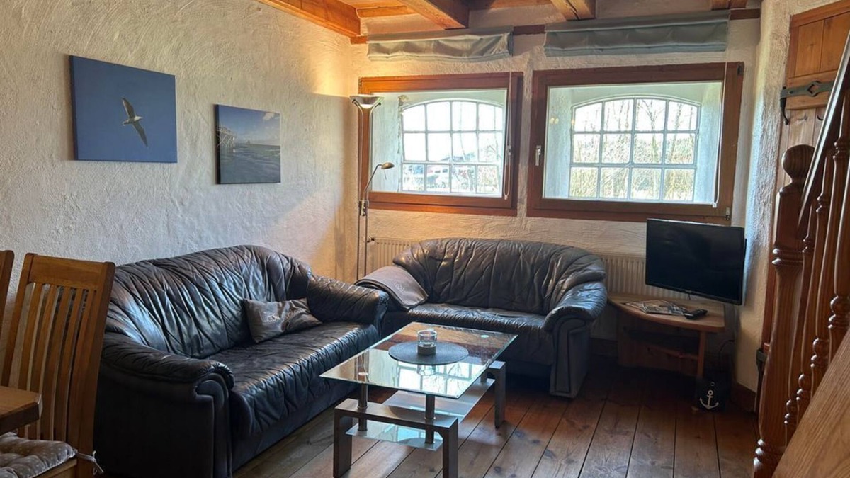 Vollerwiek Cottage | Seagull - hoarfrost by the sea