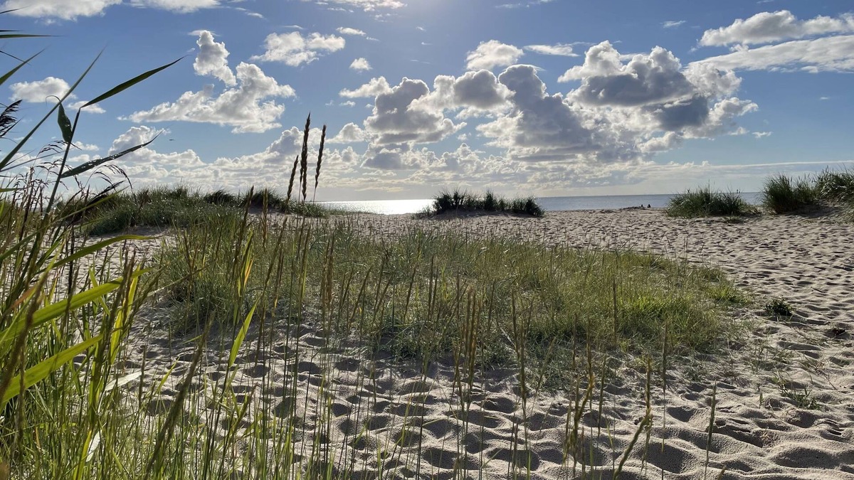 Schillig Apartment | Seahorse IV with balcony and lake view 3L2H - House Seahorse