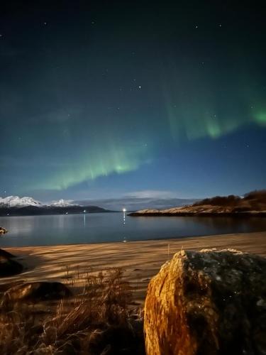 Bodo House | Seahouse Bodø