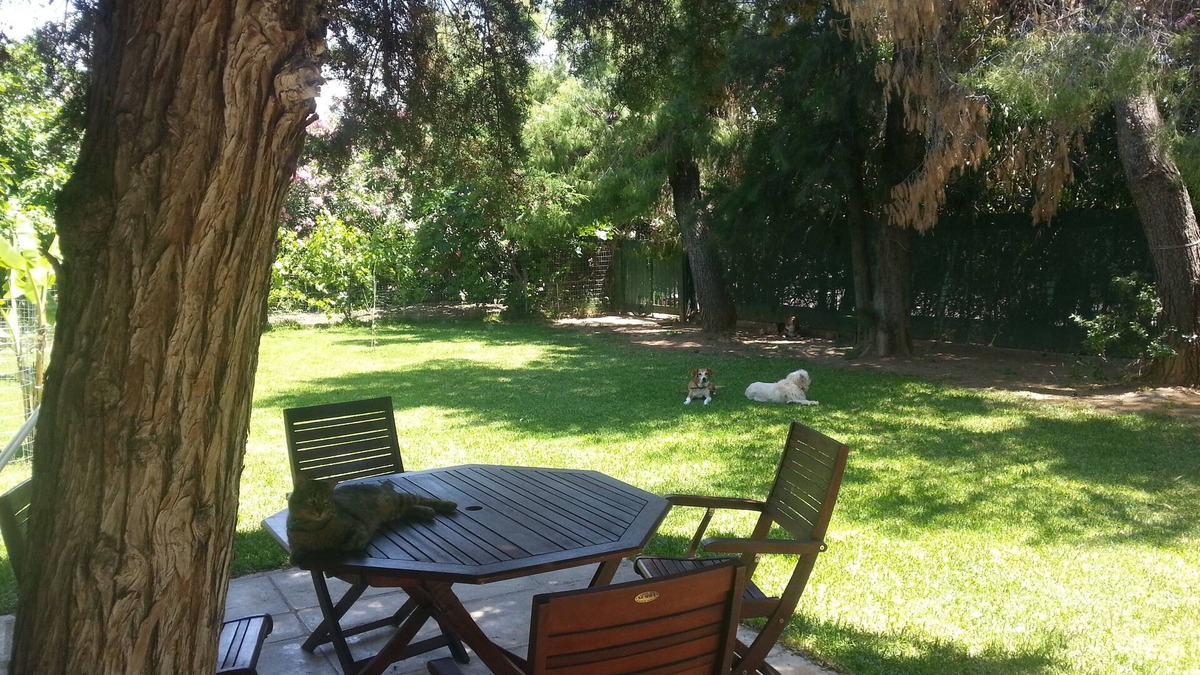 Eretria House | Seaside Bungalow Eleni, Eretria Evia Greece