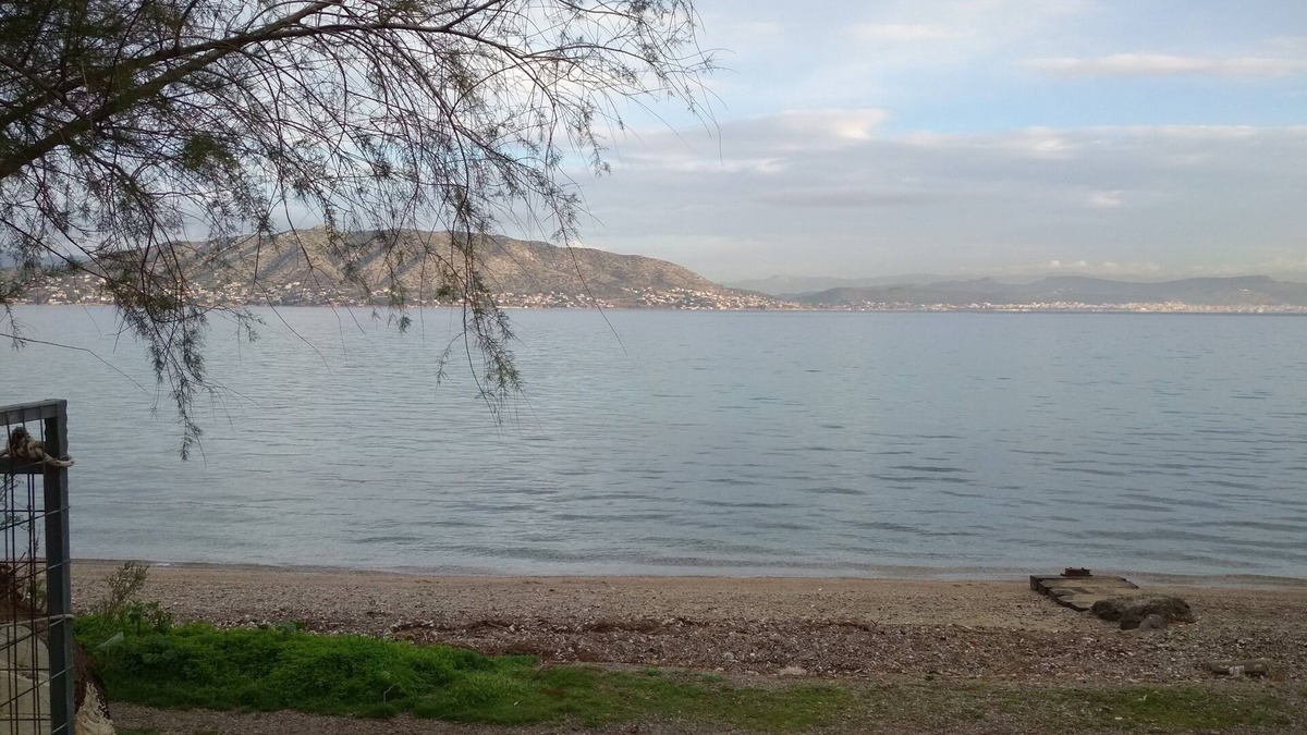 Salamis House | SEASIDE STUDIO on the beach with fully equipped kitchen